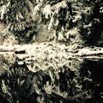 A wintery reflection in Auke Lake. (Photo by Jeanne N. Hansen)