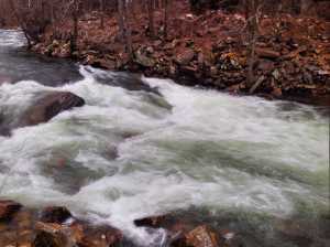 A mountain stream both Nick Rutecki and Logan Miller swam in while hiking the Appalachian Trail. (Photo by Logan Miller)