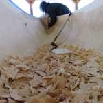 Zack (Tlél Tooch Tláa.aa) James works on the inside of the first of two 40-foot spruce dugout canoes in Hoonah.