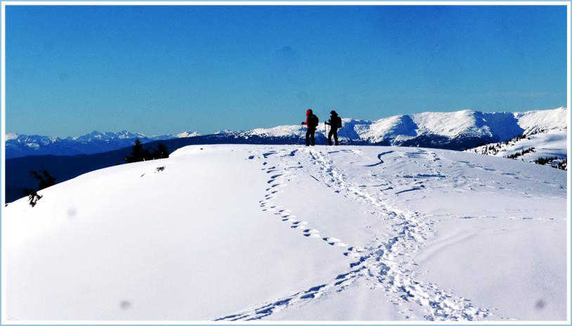 Parks and Recreation hikers gaze across to Mansfield Peninsula from Eaglecrest Ridge on March 2.