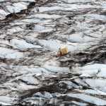 In this June 10, 2015 photo, people stand near a temporary shelter set up on Colony Glacier northeast of Anchorage.