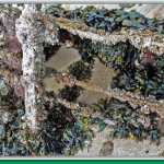 Seaweed and crustaceans make a home on disintegrating metal from the Treadwell mines.