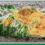 Rust and seaweed create a colorful metal mining artifact on Treadwell beach.