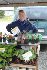 In this May 25, 2015 photo, Jillian Glasgow watches Beth Van Sandt's Scenic Place Peonies and Farm booth at the opening day of the Homer Farmers Market in Homer, Alaska. Glasgow, of Portland, Oregon, is a "woofer," or worker with the Worldwide Opportunities on Organic Farms, program.
