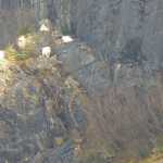 Mountain goats on the east side of the Mendenhall Glacier.
