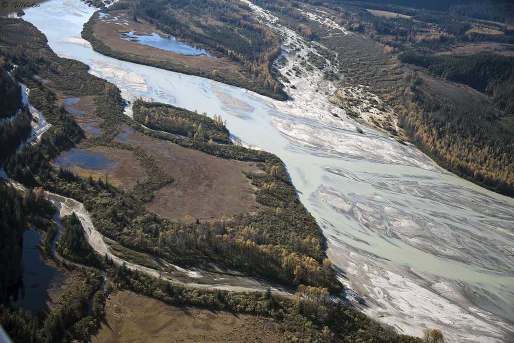 The Gilkey River flows into Berners Bay, as seen from a flight leaving the Juneau Icefield fall 2015. Photo by Kenneth John Gill, aka Gillfoto.