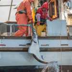 Kent Barkhau and Linda Behnken of Alaskans Own fish for halibut. Photo by ASMI/Joshua Roper