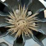 Hubcap Ice - April in B.C.