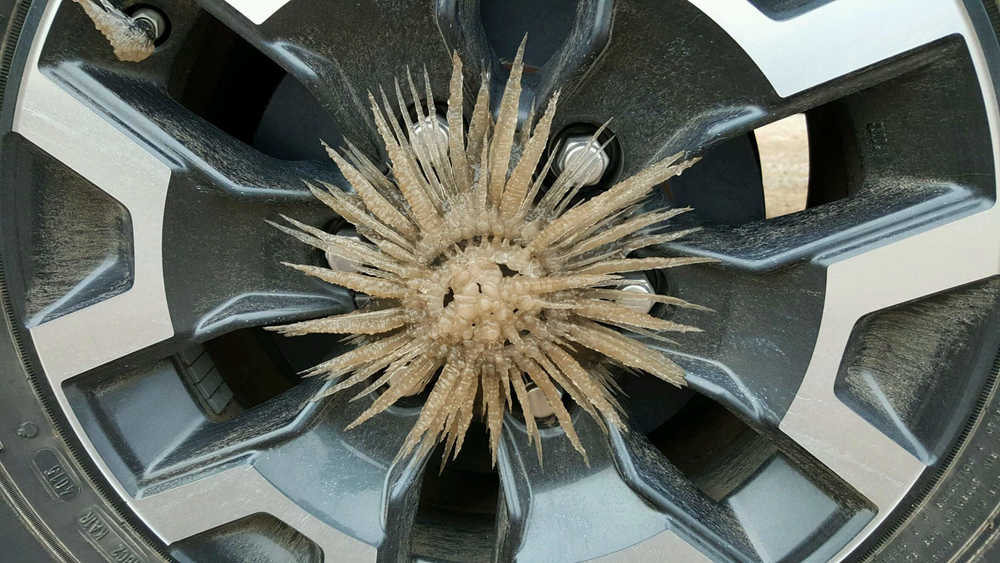 Hubcap Ice - April in B.C.