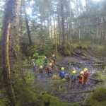 A recent forestry academy on Prince of Wales trained a local workforce to carry out work typically contracted to non-local crews. Photo by Quinn Aboudara.