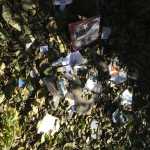 The Center for Alaskan Coastal Studies found used syringes on Bishops Beach during a clean-up day in October 2014. The proposed syringe exchange program aims to reduce the number of syringes disposed in public areas.