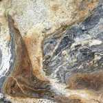 Solidified flow of a variety of rock types form a single large blue mussel beach rock. Photo by Denise Carroll.