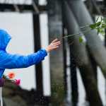 A Juneau resident throws roses into the harbor during the Blessing of the Fleet and Dedication of Names at the Alaska Commercial Fishermen's Memorial in Juneau on Saturday, May 7, 2016.