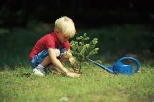 Young boy planting a seedling