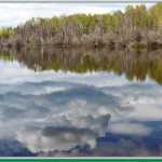 Ballaine Lake reflections in Fairbanks.