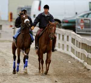 FILE- In this May 20, 2016, file photo, trainer Michael Matz, right, holds onto Kentucky Derby winner Barbaro as he cavorts off the track with assistant trainer Peter Brette aboard at Pimlico Race Course in Baltimore. A decade ago, Matz saddled the frisky Kentucky Derby winner with designs off pulling off an encore at Pimlico Race Course. Soon after emerging from the starting gate, Barbaro stumbled and broke his right hind leg. (AP Photo/Chris Gardner, File)