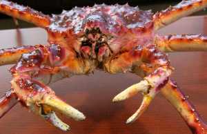 A football that was presented to Alaska Gov. Bill Walker from Seattle Seahawks linebacker Bobby Wagner during an event for youth at Covenant House in Anchorage. During roughly his first year and a half in office, Walker has receives gifts ranging from alcohol to sea otter mittens to a framed photo from the King of Norway, presented by King Harald V himself.