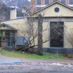 The old hawthorn tree at the Juneau-Douglas City Museum can be seen by the totem pole. A stump is propping it up and rope ties it to the building.