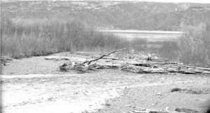 Battle Creek, home to a population of coho salmon, flows into Kachemak Bay without passing through Bradley Lake. The proposed amendment to Bradley Lake Hydroelectric Plant would divert a portion of Battle Creek's water into the lake so it can produce energy for the Kenai Peninsula before going into the bay.