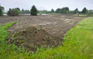 The field between Egan Drive and the Juneau International Airport after it was bulldozed on Tuesday. The Assembly backed the Planning Commission's decision last summer not to rezone the famed "Field of Fireweed" per Bicknell Inc.'s request.