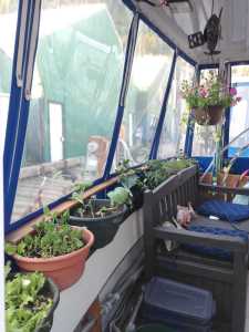 A do-it-yourself hanging flower basket is shown.