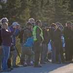 In this 2015 file photo, a Denali National Park and Preserve ranger ensures photographers stay a safe distance from wildlife. In this 2015 file photo, cars are shown lining the road at Denali National Park and Preserve as photographers take pictures of wild animals. Denali and Yellowstone plan to survey visitors about their experiences this summer, hoping the responses will provide insight on what limitations visitors might accept.
