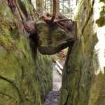 Captured rock on a Sitka trail