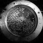 Circles in circles: condensation inside a round outdoor light fixture at the Shrine of St. Therese. Photo by Denise Carroll.