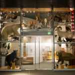 Entrance into the temporary art galleries and Science on a Sphere in the Father Andrew P. Kashevaroff State Library, Archives, and Museum.