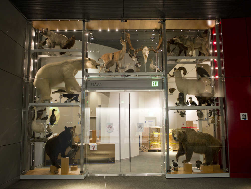 Entrance into the temporary art galleries and Science on a Sphere in the Father Andrew P. Kashevaroff State Library, Archives, and Museum.