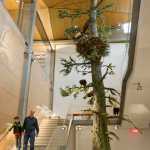 Scott Carrlee, Curator of Museum Services Alaska State Museums, walks down the staircase next to the new eagle tree with his son at the Father Andrew P. Kashevaroff State Library, Archives, and Museum. The new facility is scheduled to open Monday, June 6.
