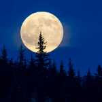 In this May 21 photo, the moonrise is shown over Auke Bay.