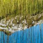 Mt. McGinnis reflected in a pond. Photo by Kerry Howard.