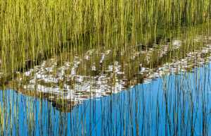 Mt. McGinnis reflected in a pond. Photo by Kerry Howard.