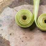 Symmetrical curliques from a saturated dandelion stem. Photo by Kerry Howard.