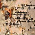 The barbed wire look of a birch tree trunk in Fairbanks. Photo by Denise Carroll.