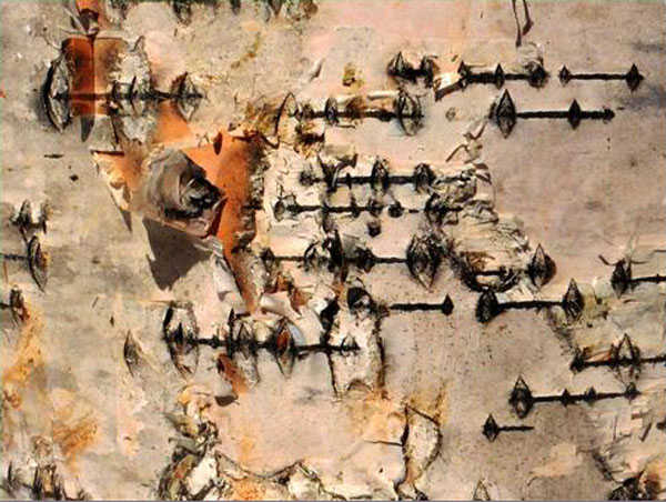 The barbed wire look of a birch tree trunk in Fairbanks. Photo by Denise Carroll.