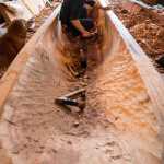 Haida carver TJ Young works on yellow cedar canoe last week in Sitka.
