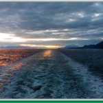 The wake of the ferry Leconte at sunset.