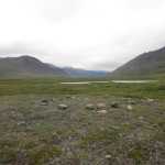 A ring of stones for a tent near Anaktuvuk Pass.