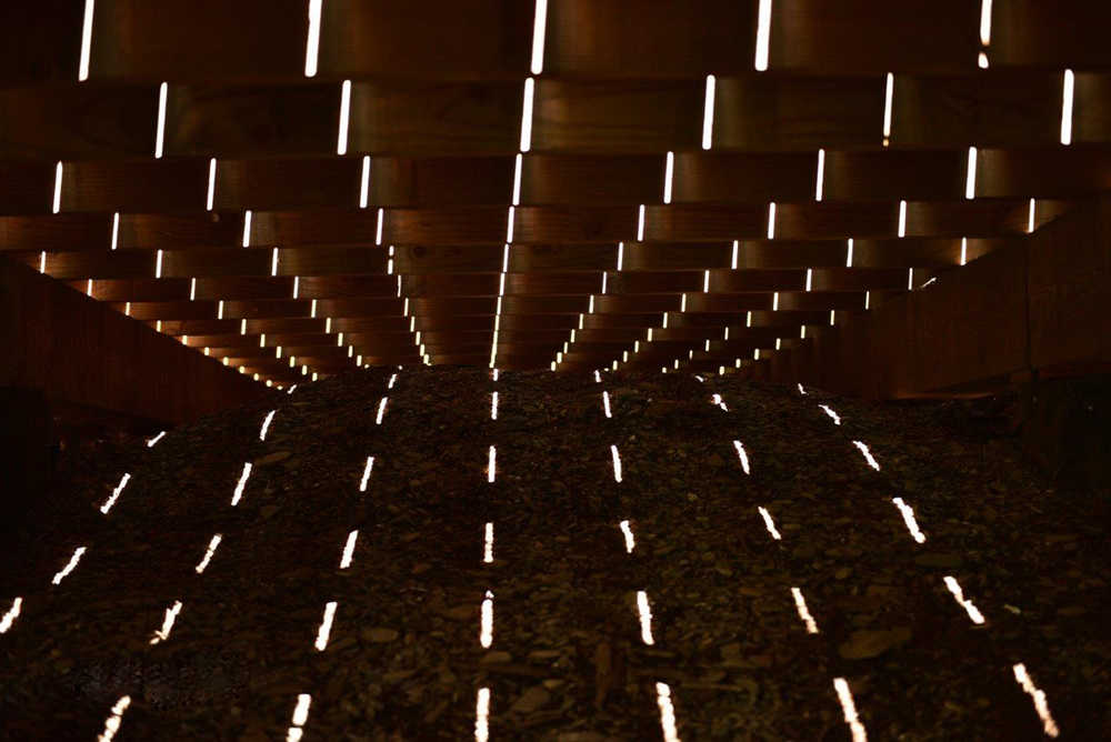 Sun lights up the underside of a dock in Hoonah