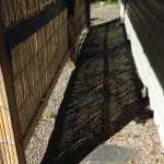 Parallelogram shadow. Photo by Barbara Belknap.