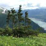 Taken on Mount Juneau.