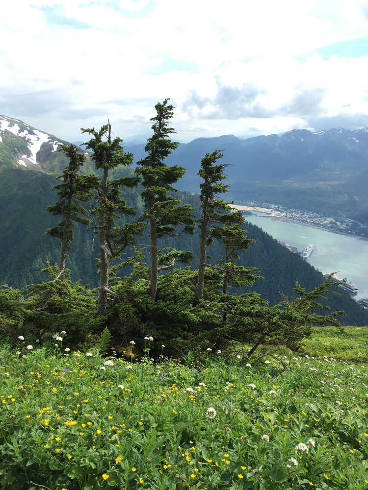 Taken on Mount Juneau.