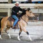 Bill Cameron rides a horse named Maverick as he trains students and horses for Extreme Cowboy Racing at Swampy Acres on Thursday.