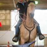 Bill Cameron throw a rope at a target as he trains students and horses for Extreme Cowboy Racing at Swampy Acres on Thursday.