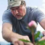 Brad Fluetsch talks about what makes a peony ready for market at his North Douglas property on Monday. Fluetsch says it will be 2019 before his first commercial crop is ready.