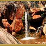 Small waterfall in the Grand Canyon creating a cooling off pool.