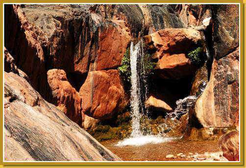 Small waterfall in the Grand Canyon creating a cooling off pool.