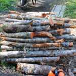 Limbs and small stuff are worth the effort.